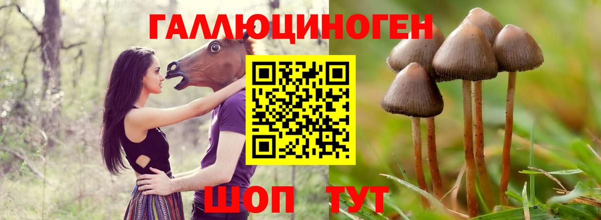 закладки  Галлюциногенные грибы Psilocybe  Вход с VPN  Иваново 