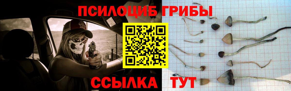 Галлюциногенные грибы Psilocybine cubensis Иваново